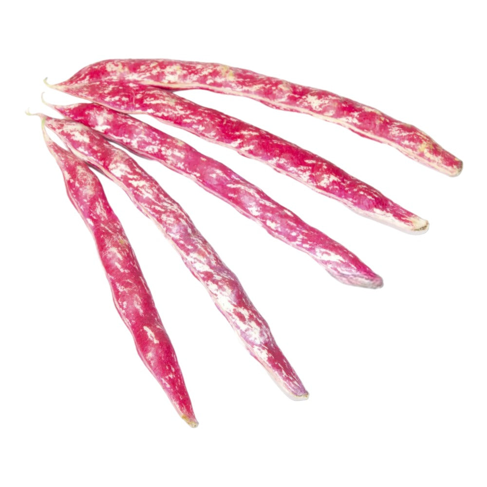 عيشة خانم حمرا