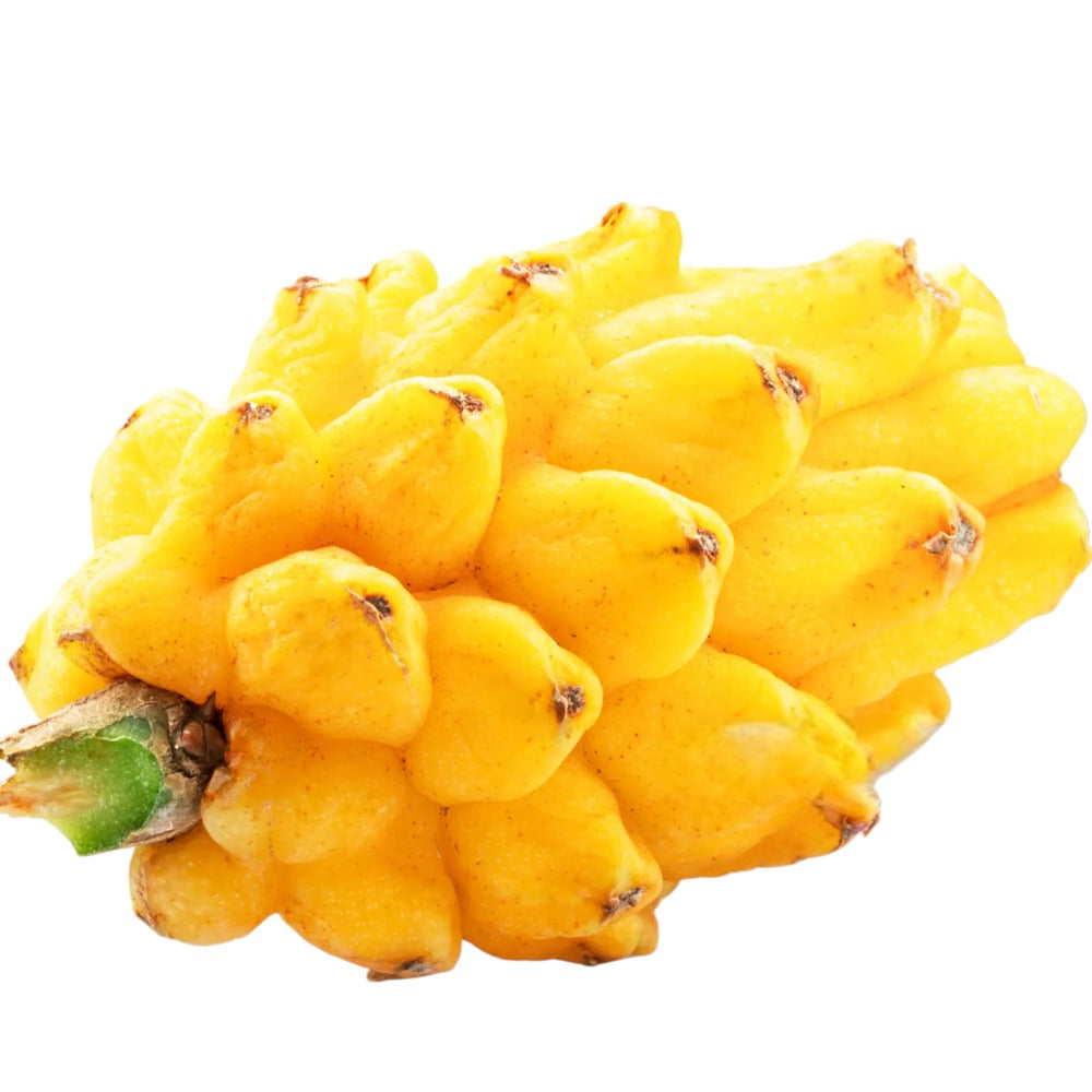 فاكهة التنين اصفر