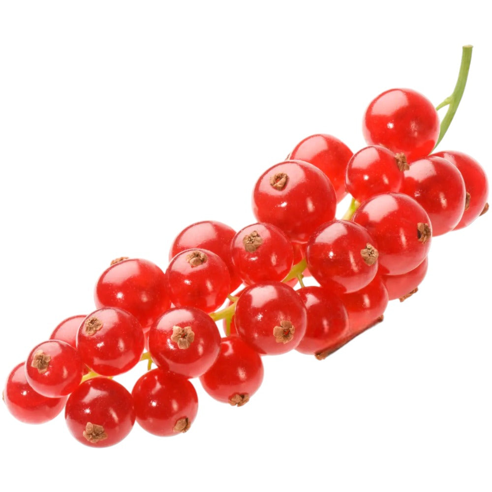 رد كرنت اجنبي