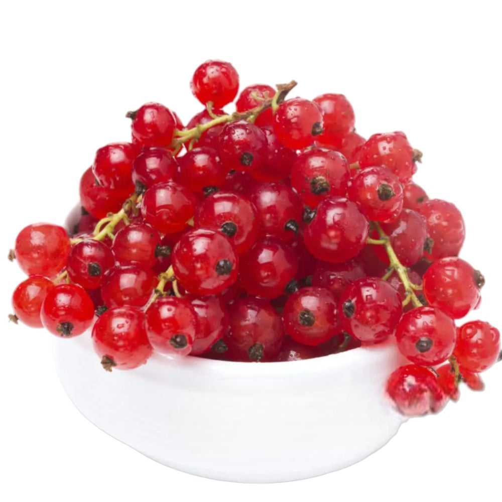 رد كرنت اجنبي