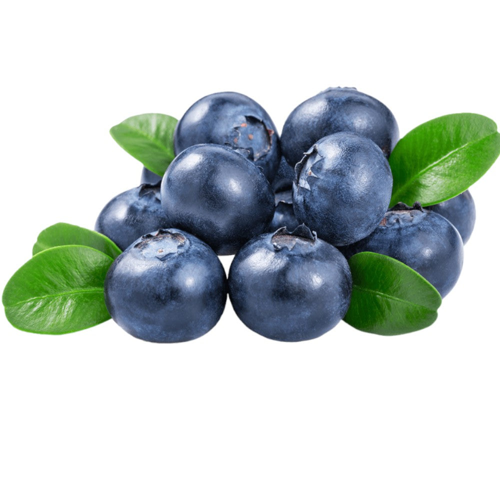 بلوبيري سطل – FadiFruits