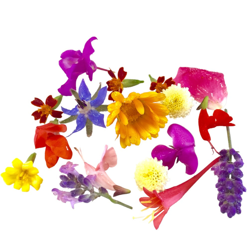 ورد Edible Flower