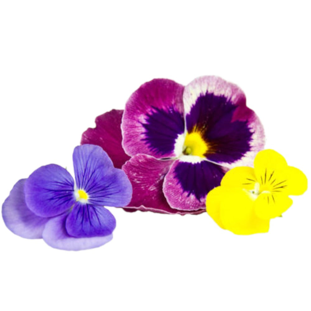 ورد Edible Flower