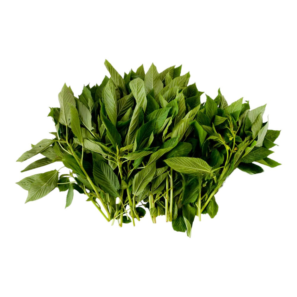 ملوخية خضرا