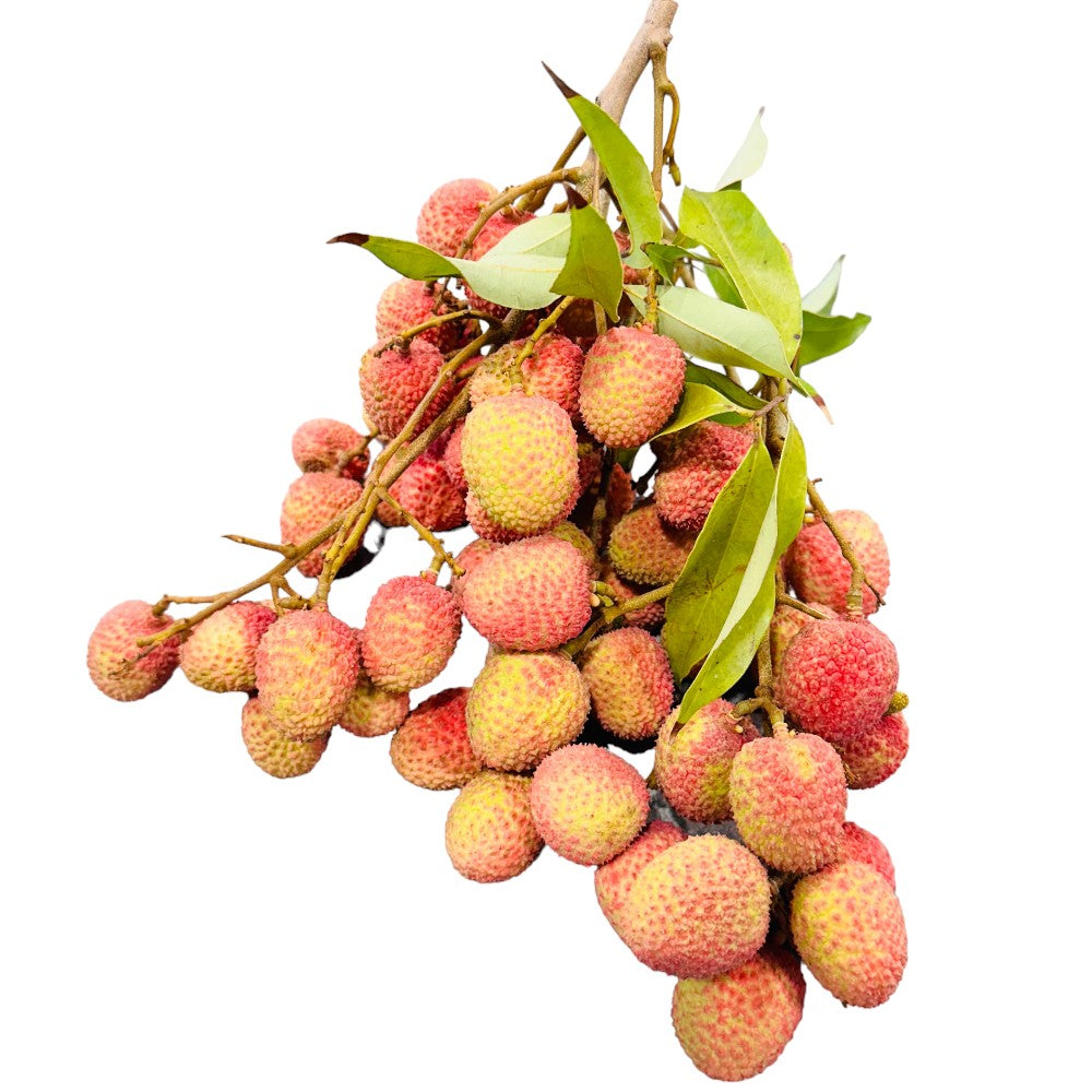 FadiFruits