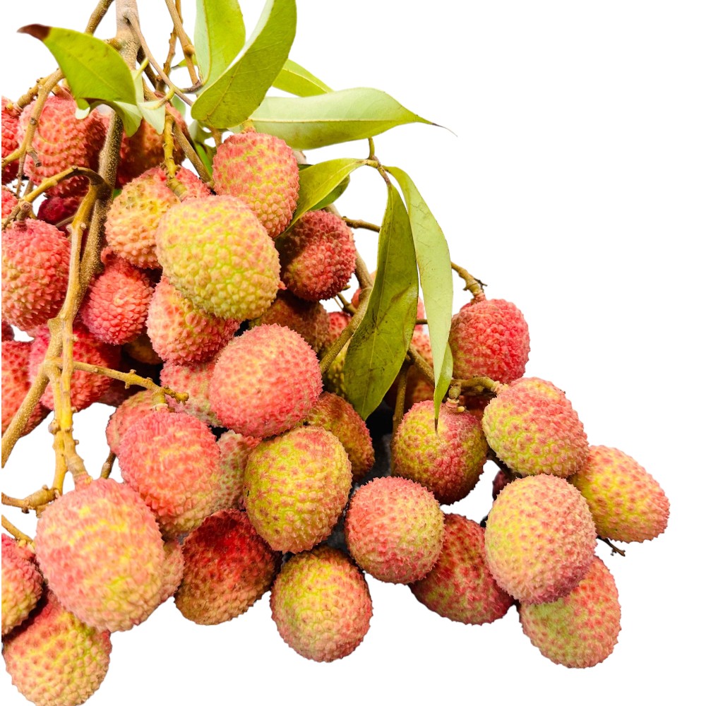 FadiFruits